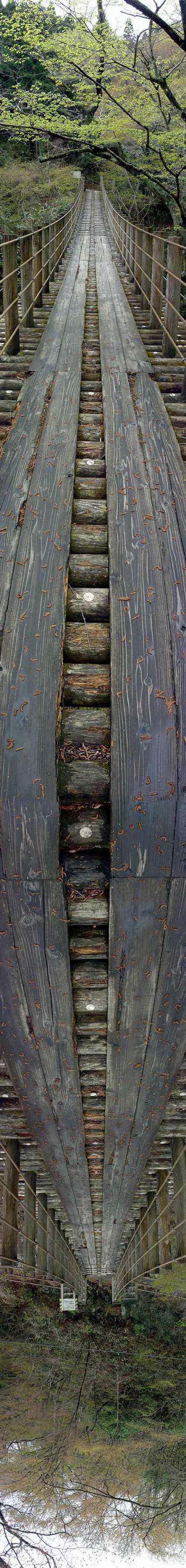 Wooden Bridge Optical Illusion
