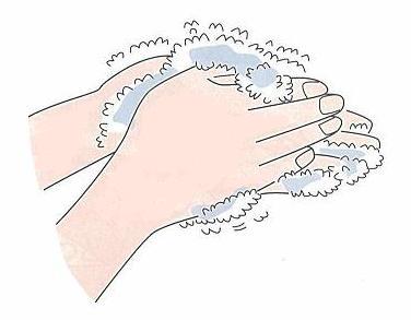 泡立てながらこすり洗いする図