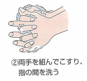 ②両手を組んでこすり、指の間を洗う